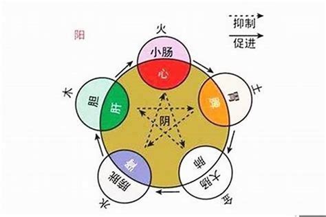 尚五行|尚字五行属什么属性